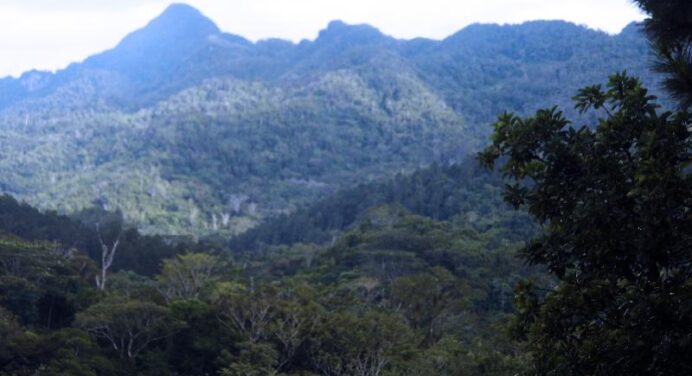 Sierra del Escambray