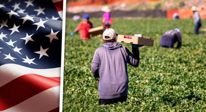 Estados Unidos Aprueba Nueva Regla Para Proteger a Trabajadores Agrícolas Inmigrantes ¿Qué Cambiará?