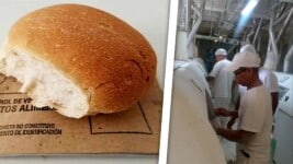 Vuelve el Pan de la Canasta Familiar Estos Molinos Cubanos Estabilizaron Produccion de Harina de Trigo