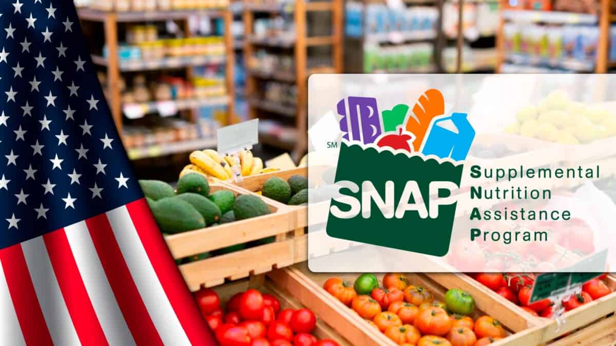 Estos Seis Estados Pagan Más en SNAP: Fechas y Montos de Agosto 2025 que Debes Conocer