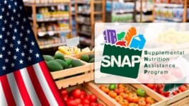 Estos Seis Estados Pagan Más en SNAP: Fechas y Montos de Agosto 2025 que Debes Conocer