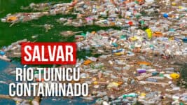 Habitantes de Sancti Spíritus Exigen Acciones para Salvar el Contaminado Río Tuinicú