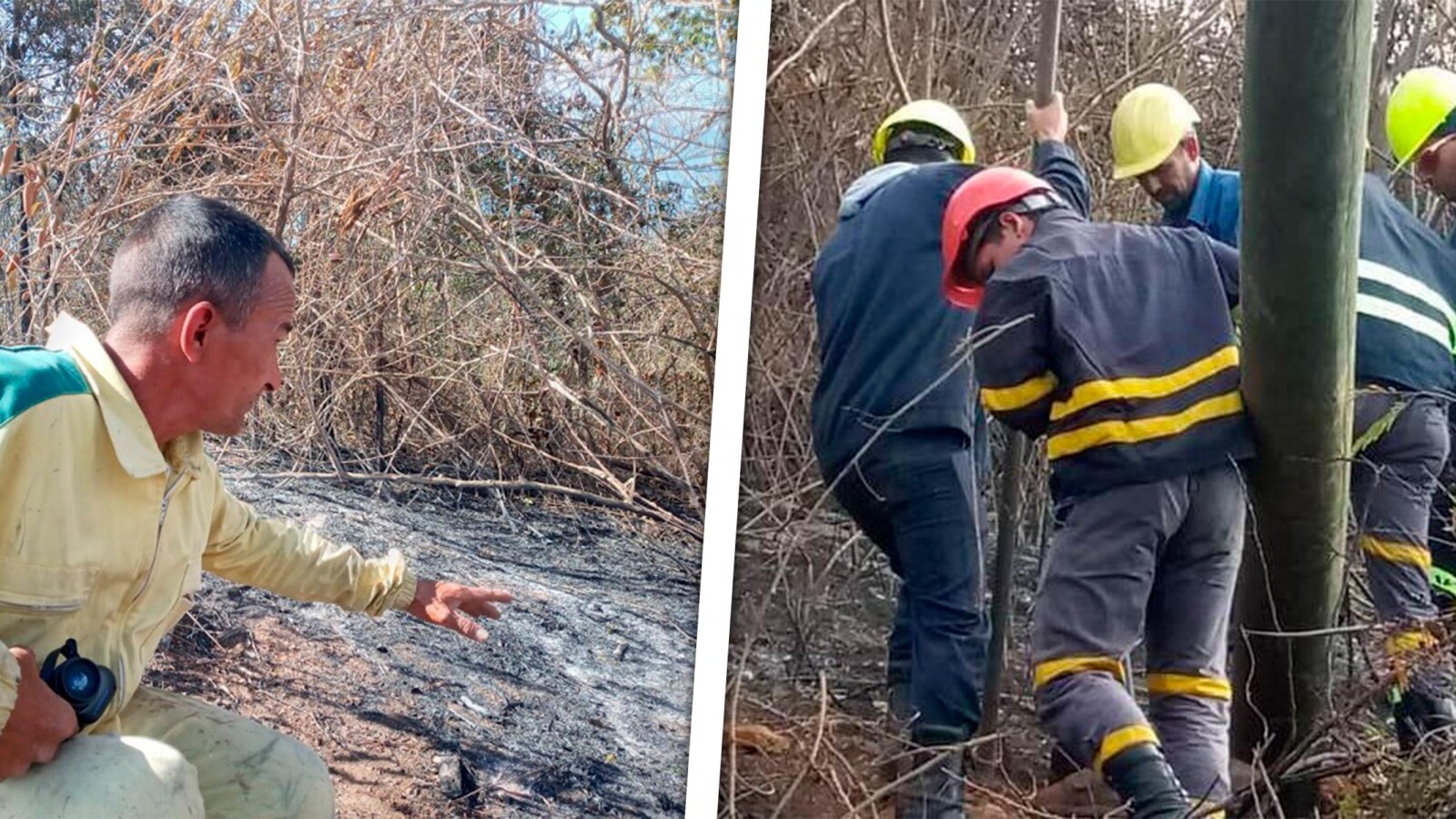 Extinguido Incendio Forestal en Topes de Collantes: ¡Esto fue lo que Sucedió!