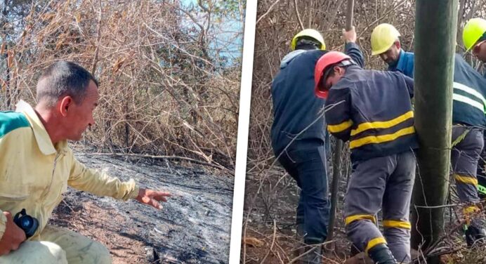 Extinguido Incendio Forestal en Topes de Collantes: ¡Esto fue lo que Sucedió!