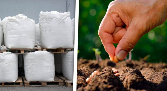 FAO y Unión Europea Donarán 2.5 Millones de Euros para Producción de Semillas en Cuba