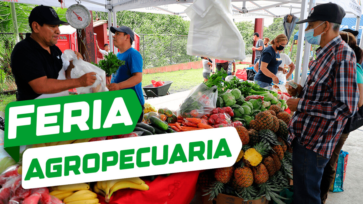 Feria Agropecuaria en Municipios Habaneros: Estos son los Lugares Donde Podrás Comprar