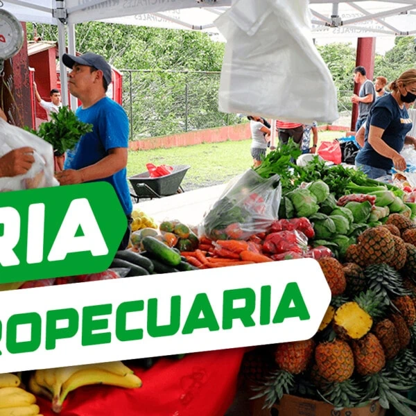 Feria Agropecuaria en Municipios Habaneros: Estos son los Lugares Donde Podrás Comprar
