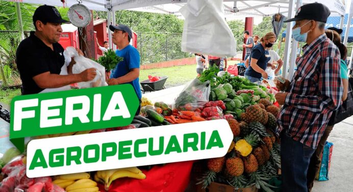 Ferias Agropecuarias en Municipios Habaneros: Estos son los Lugares y Precios Aprobados