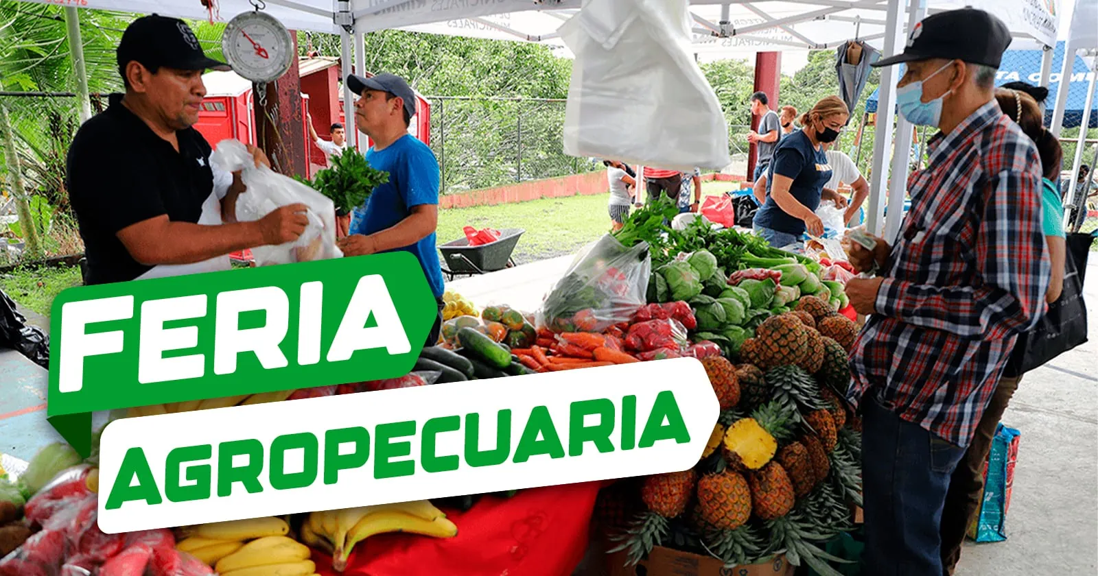 Feria Agropecuaria en Municipios Habaneros: Estos son los Lugares Donde Podrás Comprar