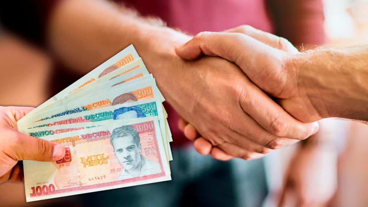 Feria de Trabajo en Toda La Habana: Mira Dónde y Qué Ofrecen