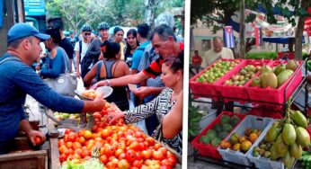 Ferias Agropecuarias Este Sábado en La Habana: Lugares Precios y Productos a la Venta