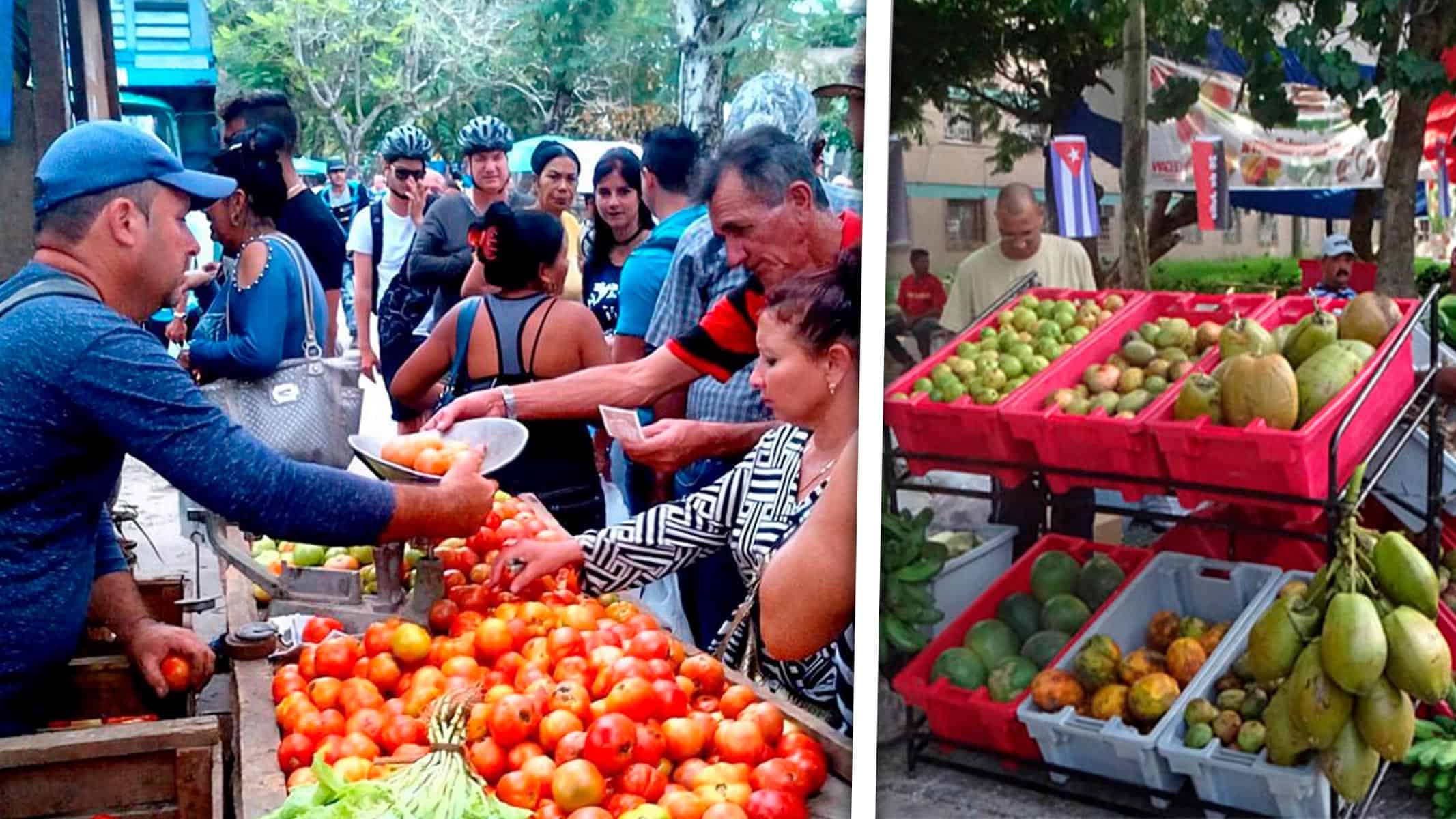 Ferias Agropecuarias Este Sábado en La Habana: Lugares Precios y Productos a la Venta