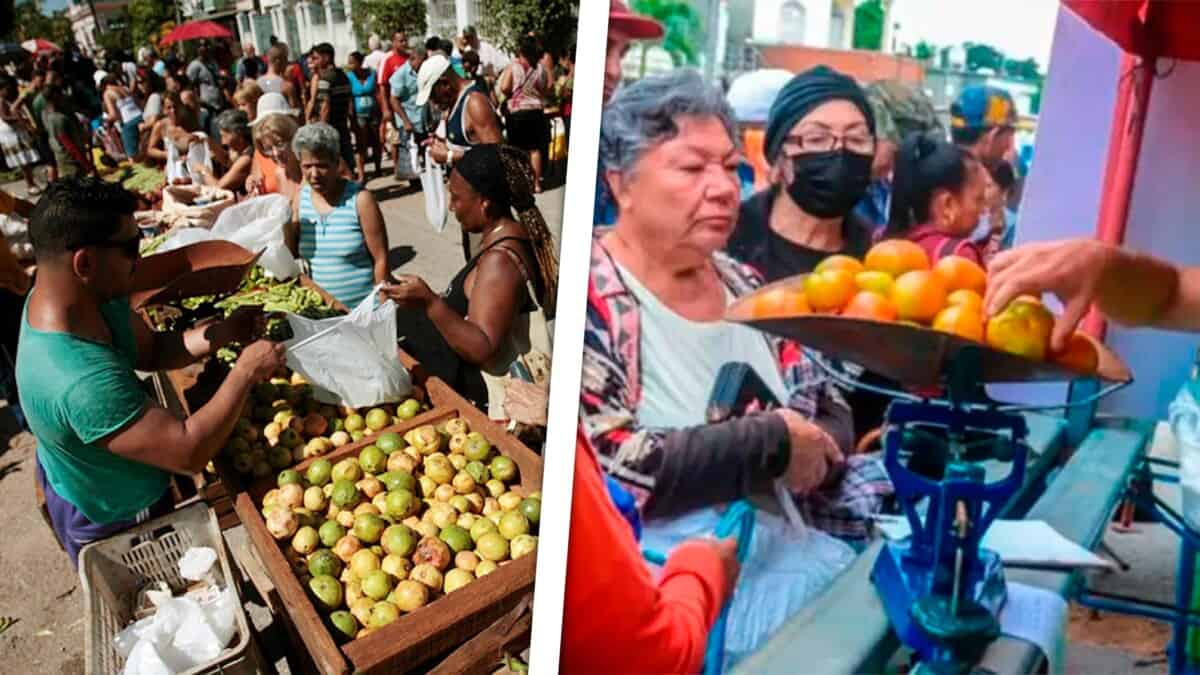 Ferias Agropecuarias Hoy en Toda La Habana con Cambios en Estos Municipios