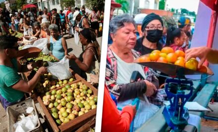 Ferias Agropecuarias Hoy en Toda La Habana con Cambios en Estos Municipios