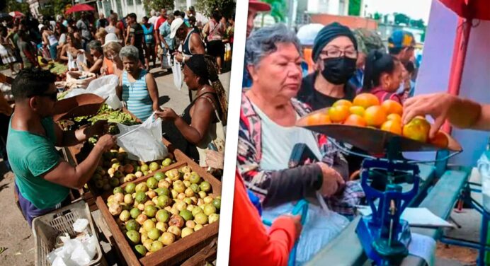 Ferias Agropecuarias Hoy en Toda La Habana con Cambios en Estos Municipios