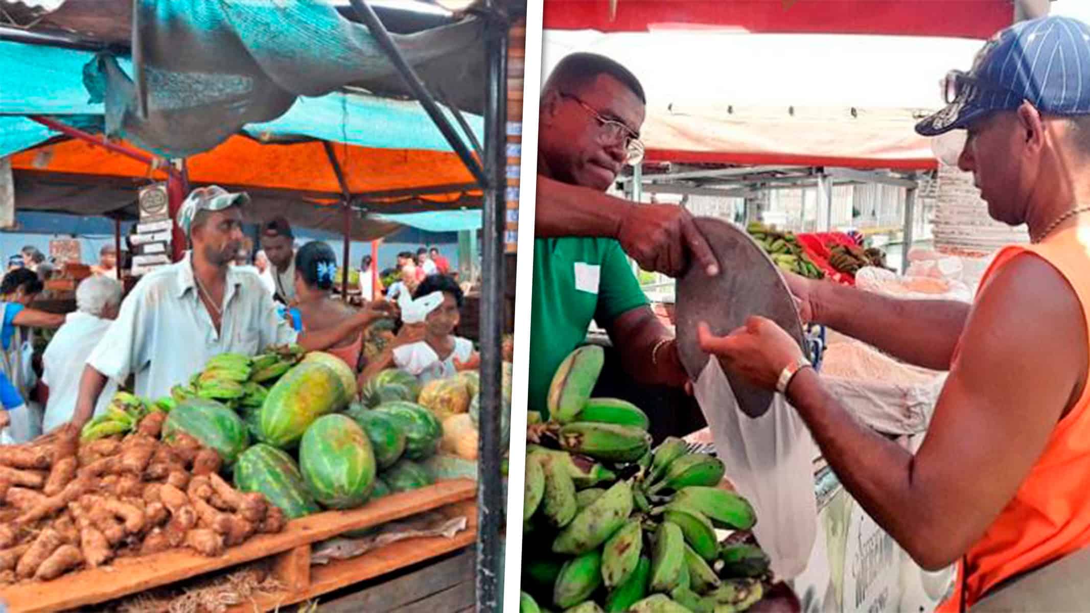 Ferias Agropecuarias en La Habana: ¿Dónde y Cuándo? Estos son los Precios Aprobados