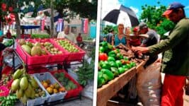 Ferias Agropecuarias en La Habana Este Sábado: Este es el Listado de Precios Aprobados