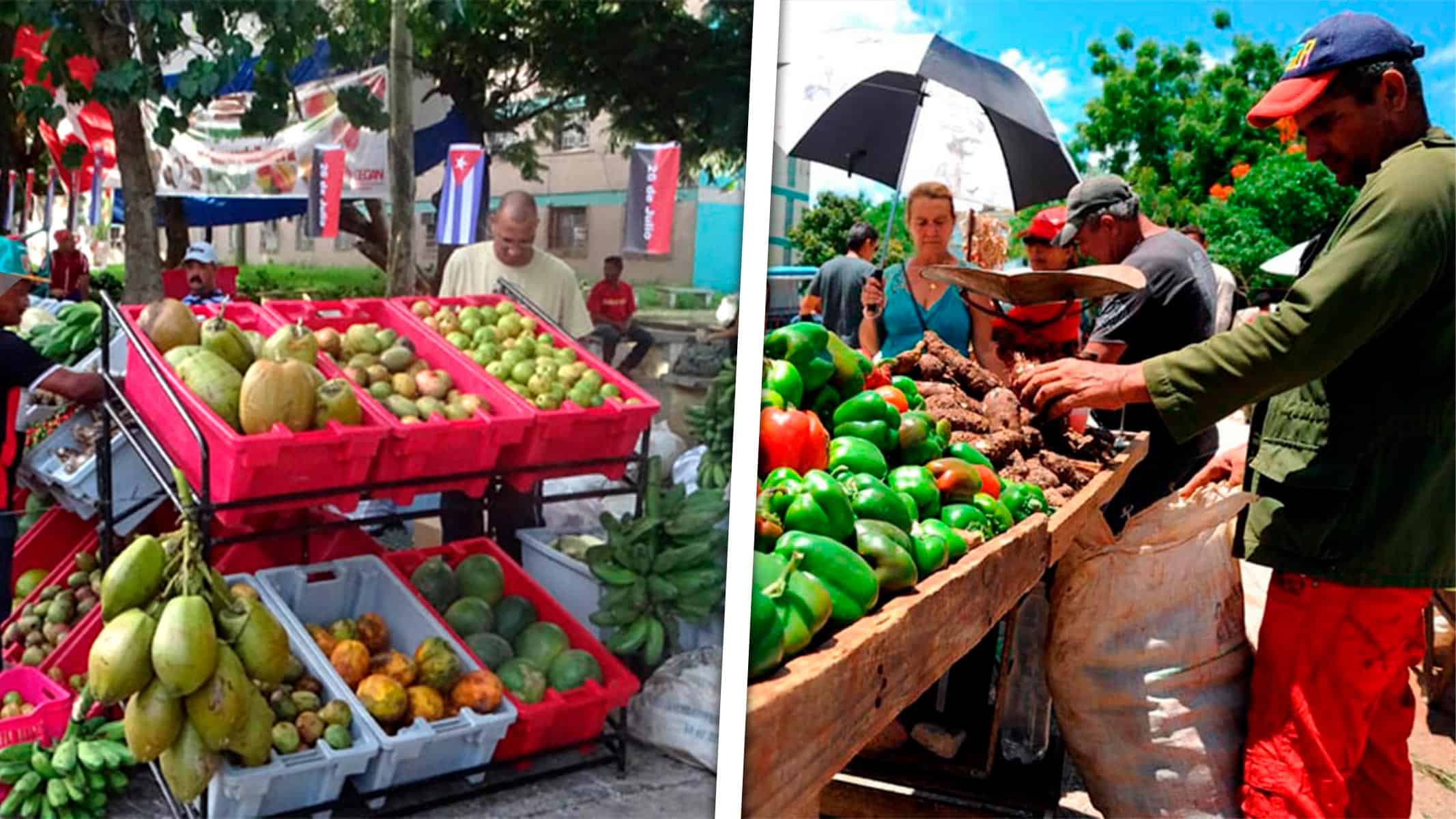 Ferias Agropecuarias en La Habana Este Sábado: Este es el Listado de Precios Aprobados