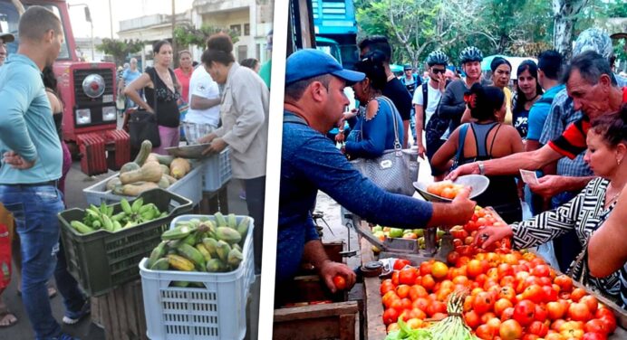 Ferias Agropecuarias en Todos los Municipios de La Habana Este Sábado: Precios Horarios y Direcciones 