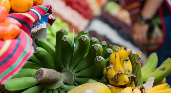 Fin de Año en Cuba Entre Ferias y Ausencias de Productos