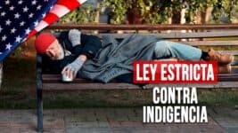 ¿Una Solución a la Falta de Viviendas? Florida Implementa la Ley Más Estricta Contra la Indigencia