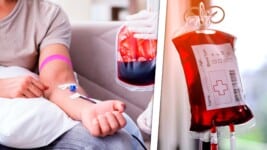 Gobierno Cubano Admite que Vende Derivados de la Sangre Donada por la Población