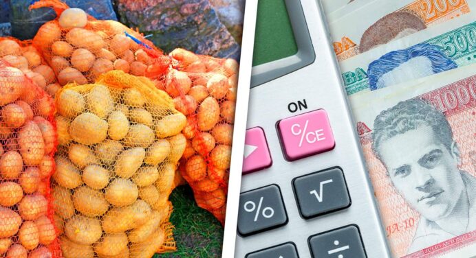 Gobierno Cubano Ajusta Tarifa de Precios a la Producción de Papas ¿Aumentará el Valor del Producto?