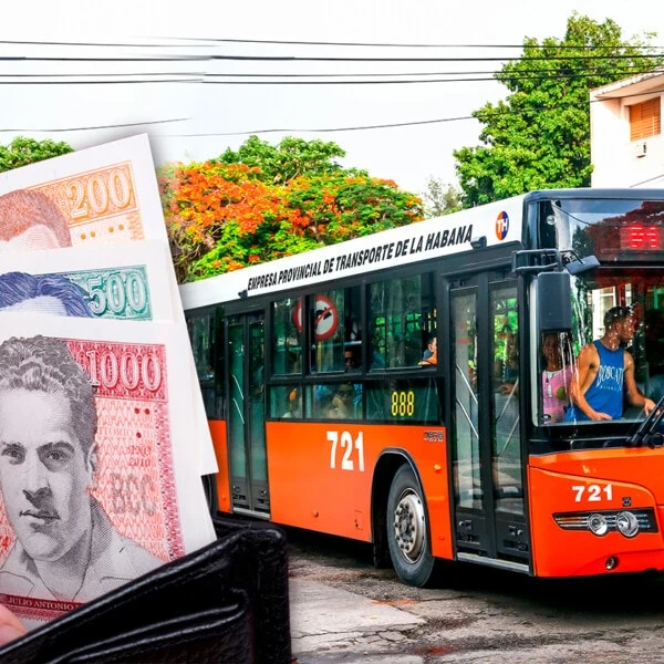 Gobierno de la Habana Informa sobre Precio de la Transportación en Ómnibus de Empresa Capitalina