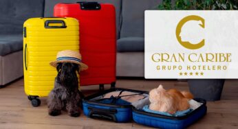 Grupo Hotelero Gran Caribe Innova para Atraer Turistas Jóvenes y Mascotas: Estos Serán los Cambios