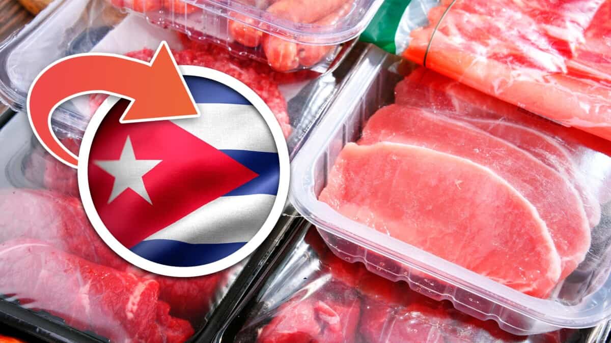 Guía Completa Para Enviar Carnes y Alimentos Congelados a Cuba Desde Miami