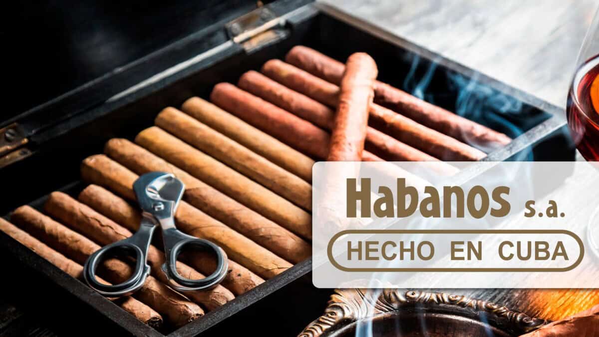 Habanos S.A. Rompe Récord de Ventas en 2024 con 827 Millones de Dólares