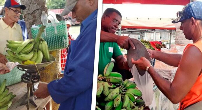Hay Feria Agroindustrial Hoy en La Habana ¿Dónde Será en tu Municipio?