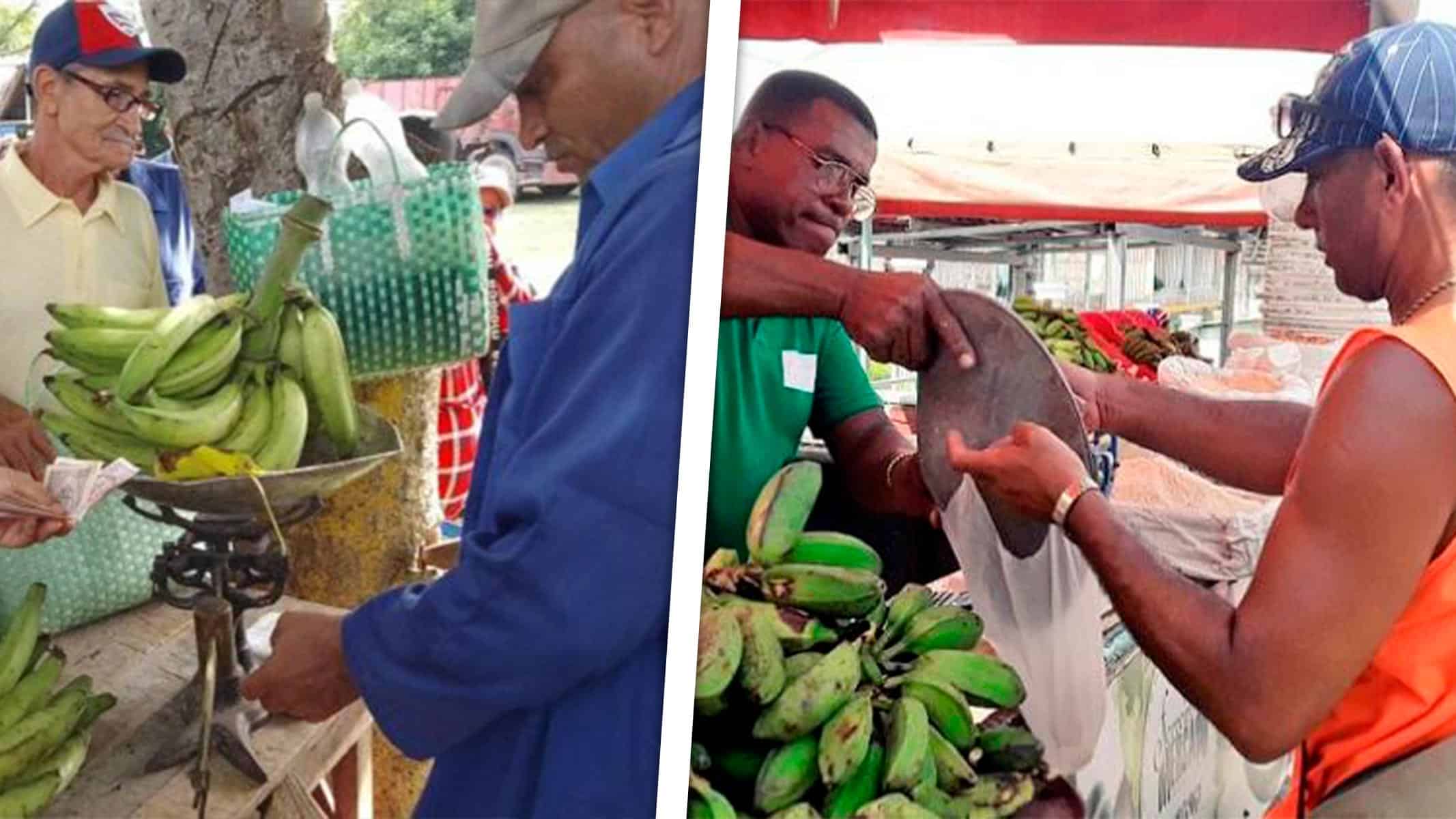 Hay Feria Agroindustrial Hoy en La Habana ¿Dónde Será en tu Municipio?