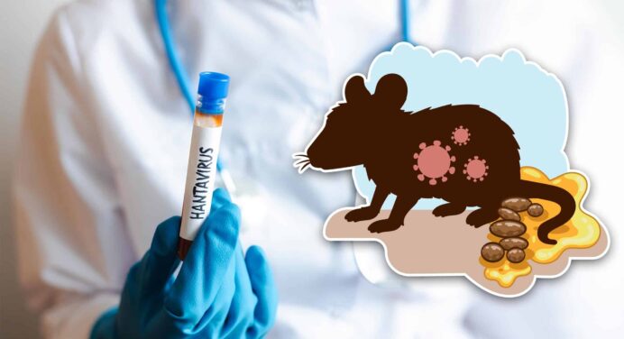 ¿Hay Hantavirus en Cuba? Esto Dicen las Autoridades Sanitarias