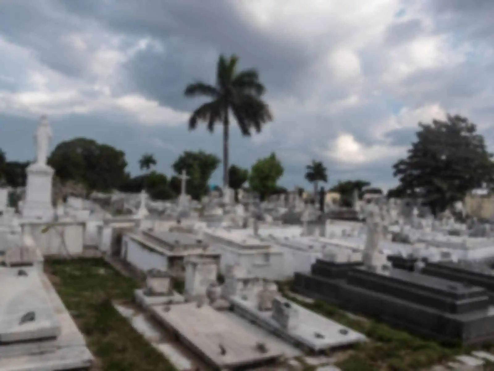 Hechos de Profanación en Cementerio de Provincia Cubana
