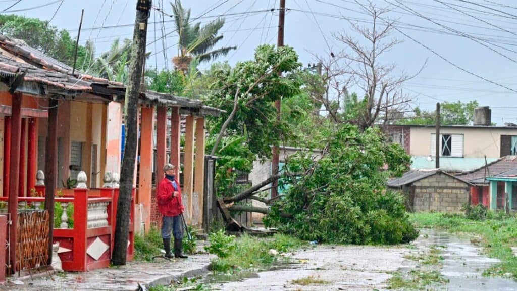 Hombre en Calle con Arboles Caídos al Fondo