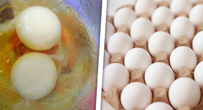 ¡Misterio Resuelto! ¿Por Qué los Huevos de la Canasta Básica en Cuba Tienen la Yema Blanca y Están sin Olor ni Sabor?