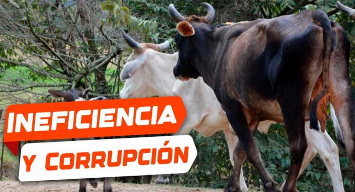 Ineficiencia y Corrupción Sacuden los Pilares Agropecuarios de Cuba: El Ministerio de Agricultura toma Medidas