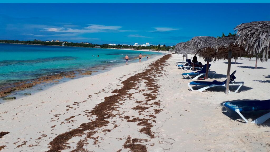 Información práctica y datos útiles