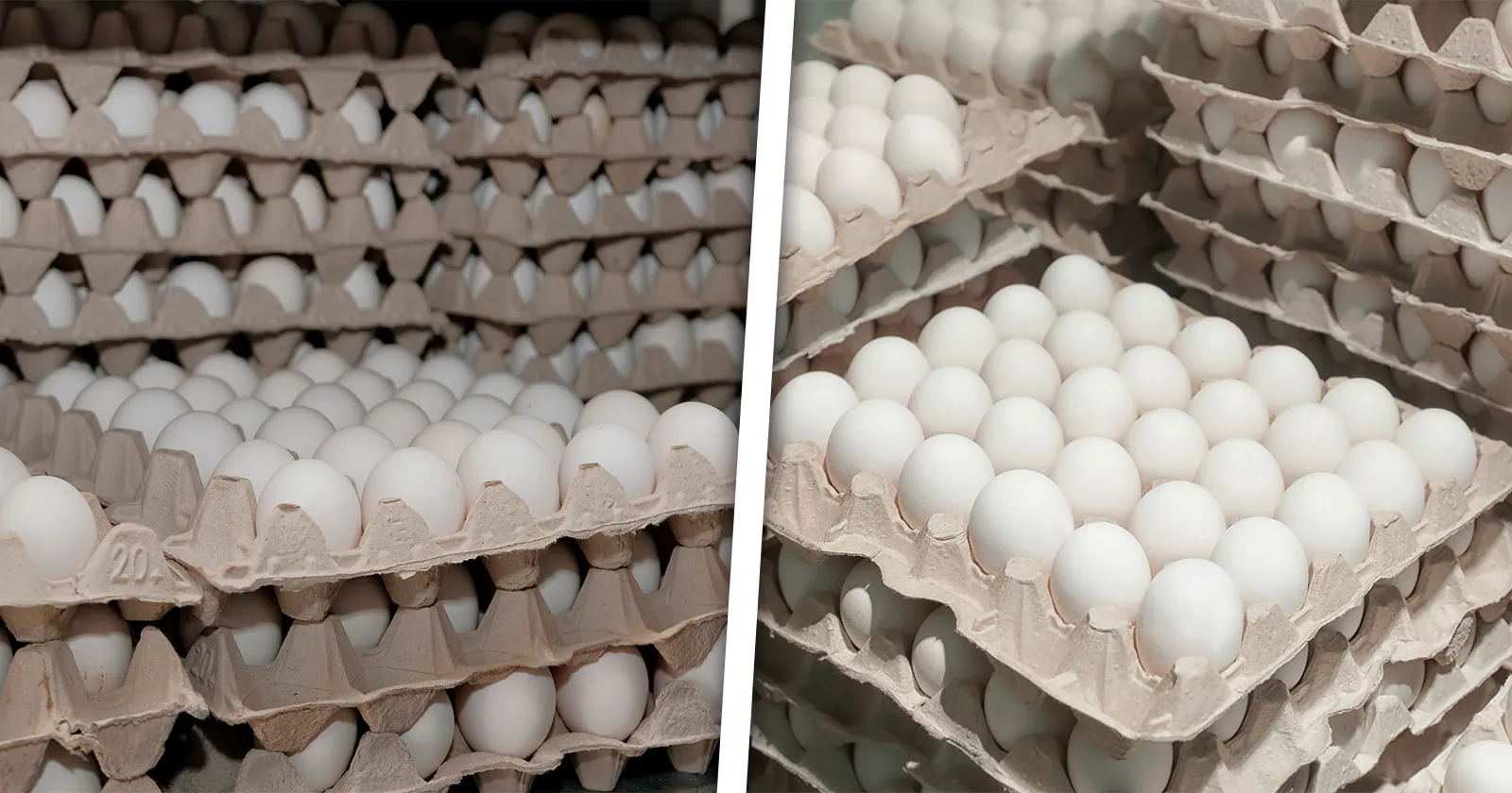 Informan del Envío de Huevos Desde un País Latinoamericano Hacia Cuba