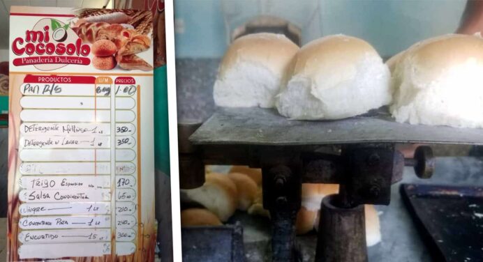 ¿Compraste pan aquí? Violaciones Graves Detectadas en Panadería de La Habana
