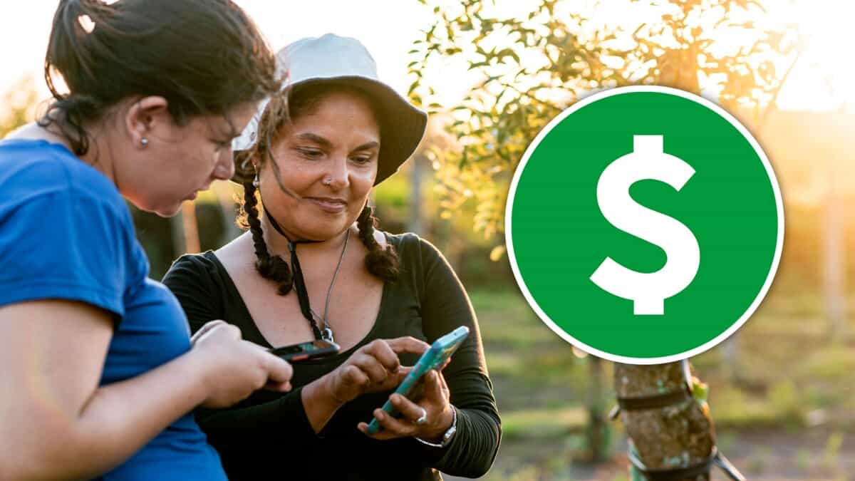 Saldo Móvil en Cuba: La Nueva “Divisa” que Nace del Tarifazo de ETECSA