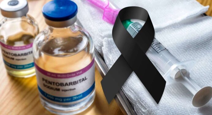 La Polémica Sobre “Muerte Digna” o Eutanasia en Cuba