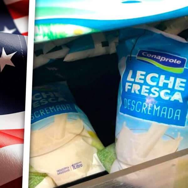 Leche en Polvo Desde Estados Unidos a Cuba ¿Quiénes la Recibirán?