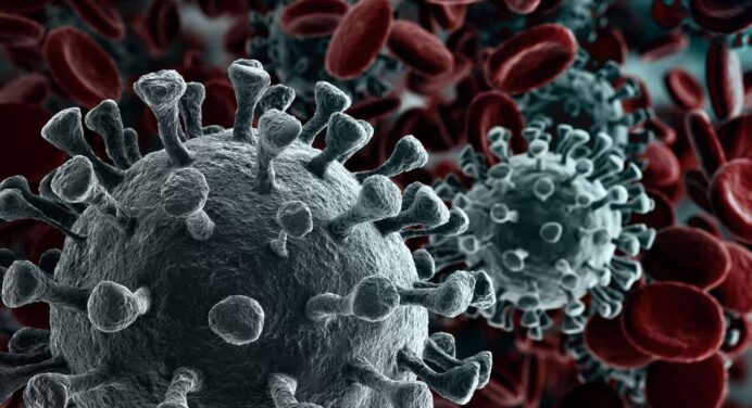 Restricción de Legalizaciones en el Consulado de España por Coronavirus