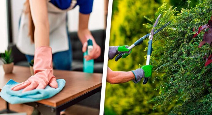 Limpieza y Jardinería: Conoce las Ofertas de Empleo para Trabajar con este Organismo Internacional en Cuba
