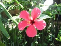 Parque Alejandro de Humboldt