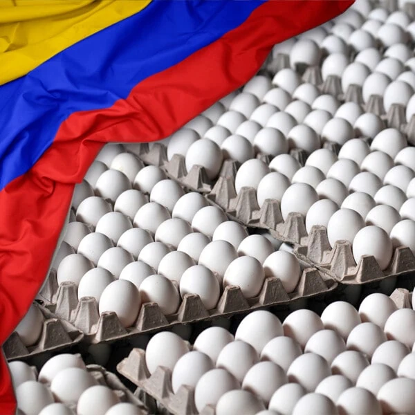 ¿Más Huevos Importados a Cuba? Esta Vez Desde Colombia