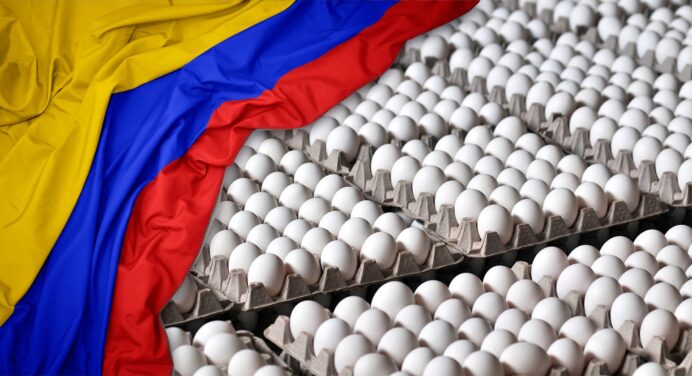 ¿Más Huevos Importados a Cuba? Esta Vez Desde Colombia