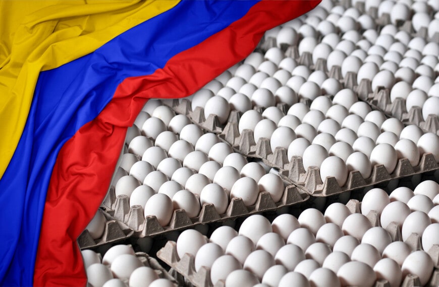 ¿Más Huevos Importados a Cuba? Esta Vez Desde Colombia